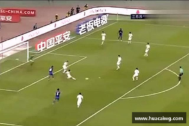 解读mk体育